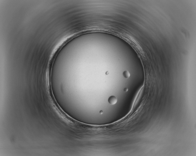 X0000113140796200909181728