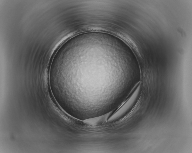 X0000113140798200909181728