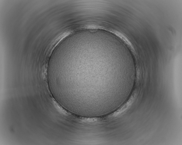 X0000113140801200909181728