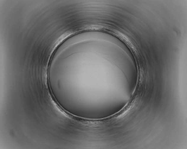 X0000113140802200909181728