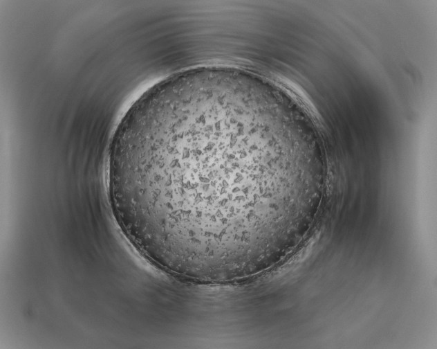 X0000113140804200909181728