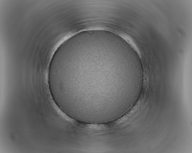 X0000113140805200909181728