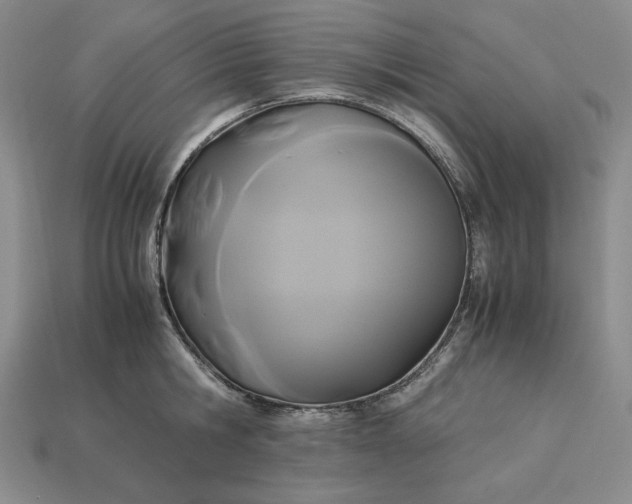 X0000113140806200909181728