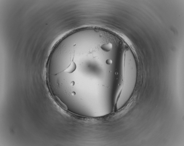 X0000113140807200909181728