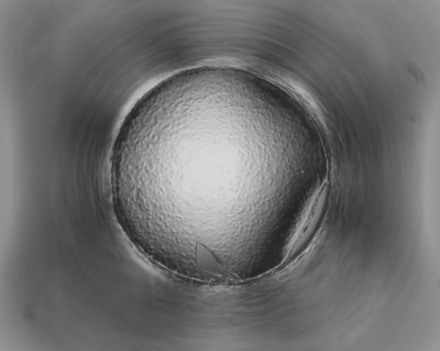 X0000113140808200909181728