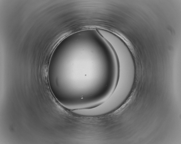 X0000113140809200909181728