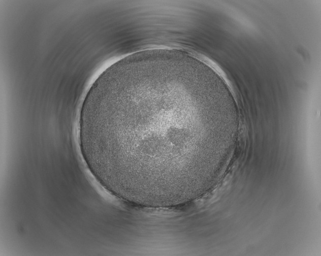 X0000113140811200909181728