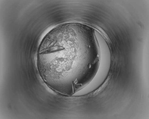 X0000113140812200909181728