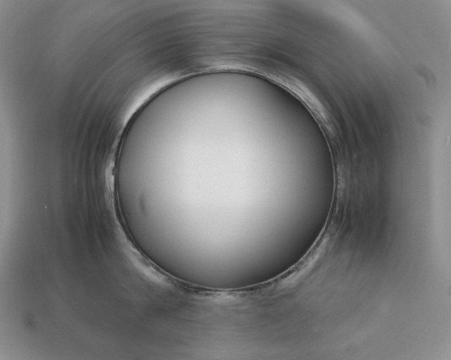 X0000113140814200909181728