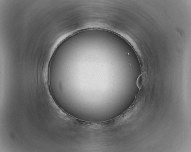 X0000113140815200909181728