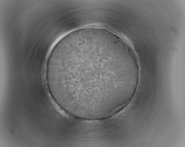 X0000113140816200909181728