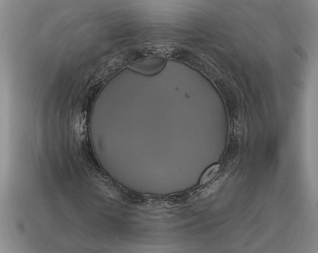 X0000113140818200909181727