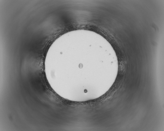 X0000113140820200909181727