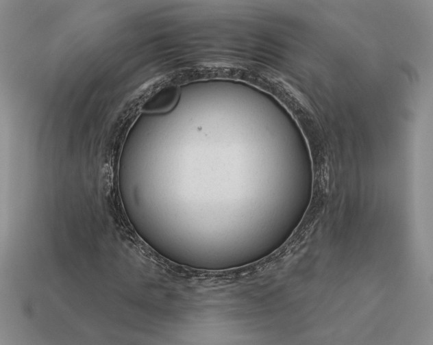 X0000113140821200909181727