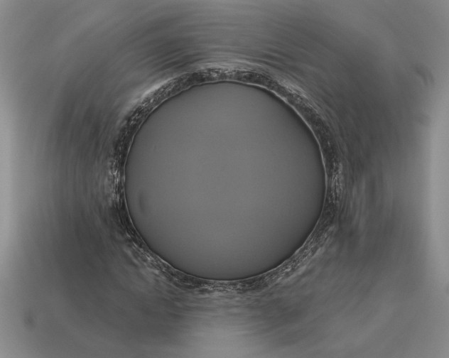 X0000113140822200909181727