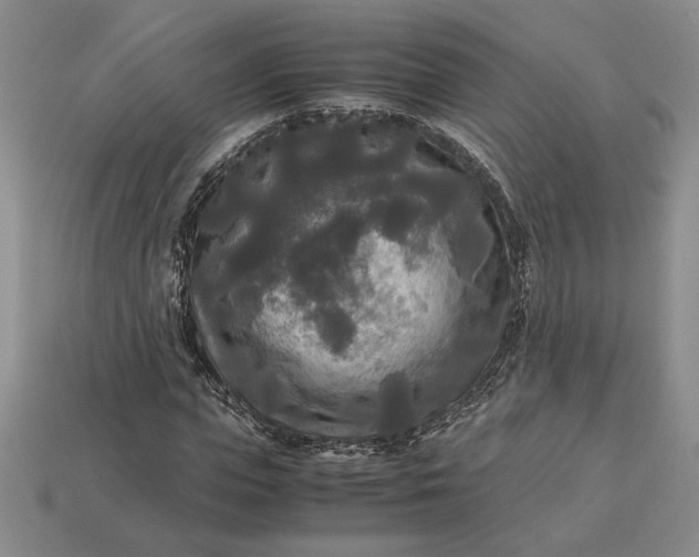 X0000113140823200909181727