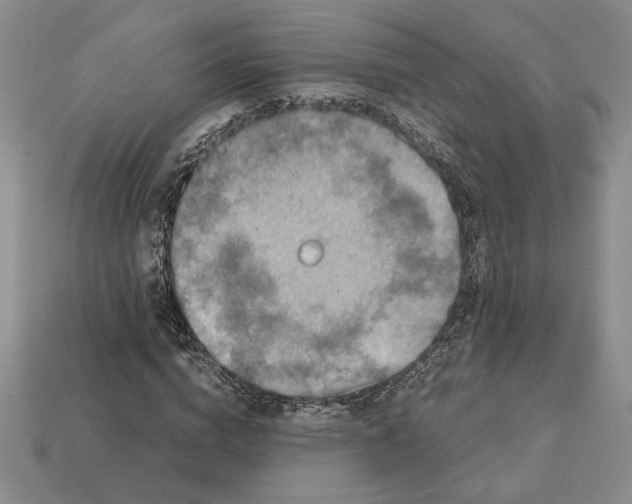 X0000113140824200909181728