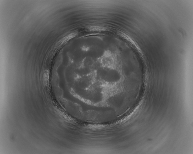 X0000113140825200909181728