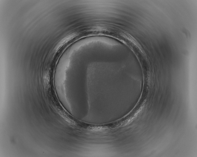 X0000113140826200909181728