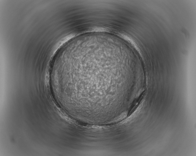 X0000113140827200909181728