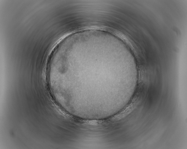 X0000113140828200909181728