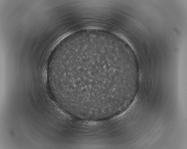 X0000113140829200909181728