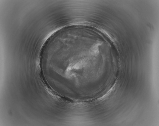 X0000113140830200909181728