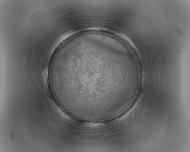 X0000113140831200909181728