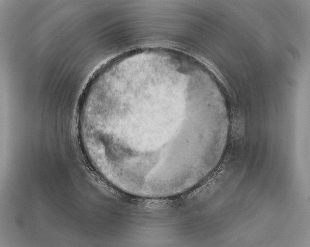 X0000113140832200909181728