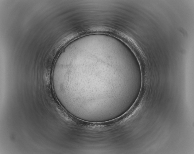 X0000113140833200909181728