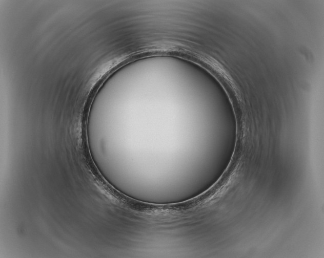 X0000113140834200909181728