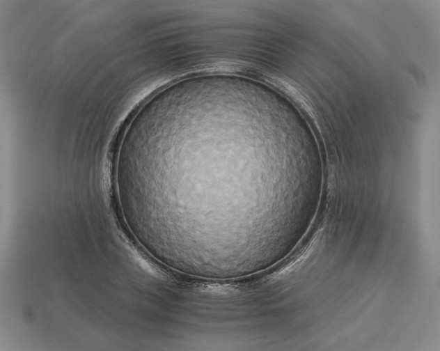 X0000113140835200909181728