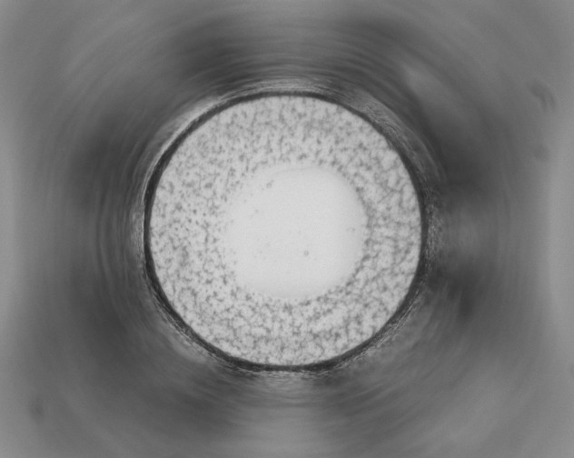 X0000113140836200909181728