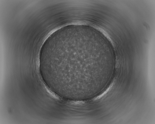 X0000113140837200909181728