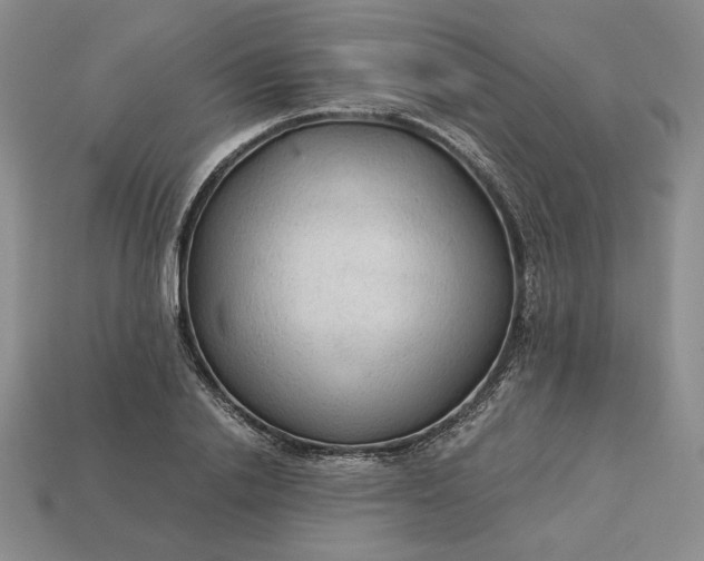 X0000113140838200909181728