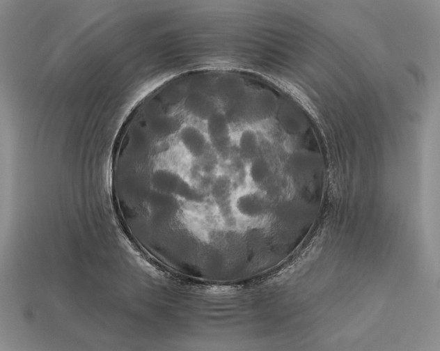 X0000113140839200909181728