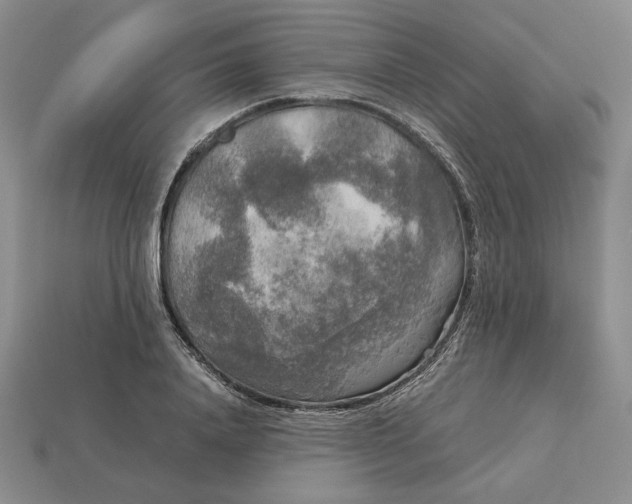 X0000113140840200909181728