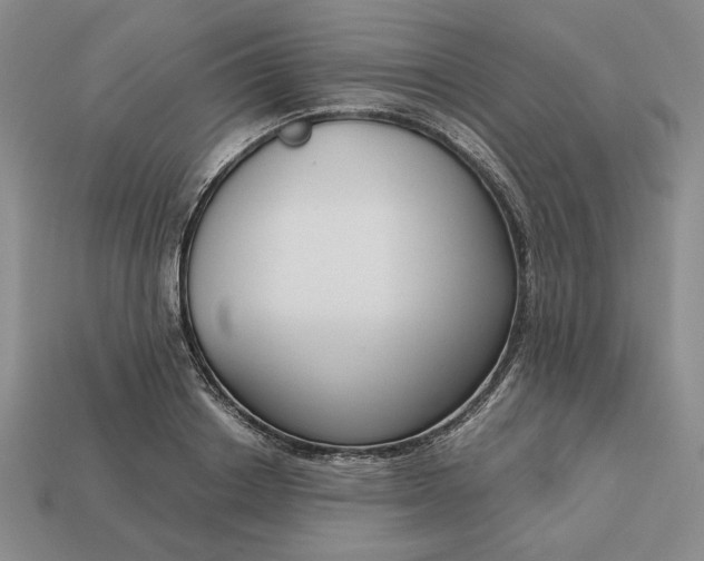 X0000113140842200909181728