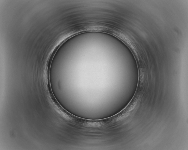 X0000113140843200909181728