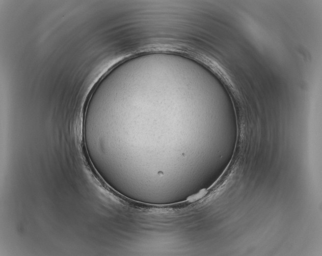 X0000113140844200909181728