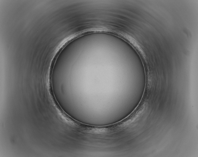 X0000113140845200909181728