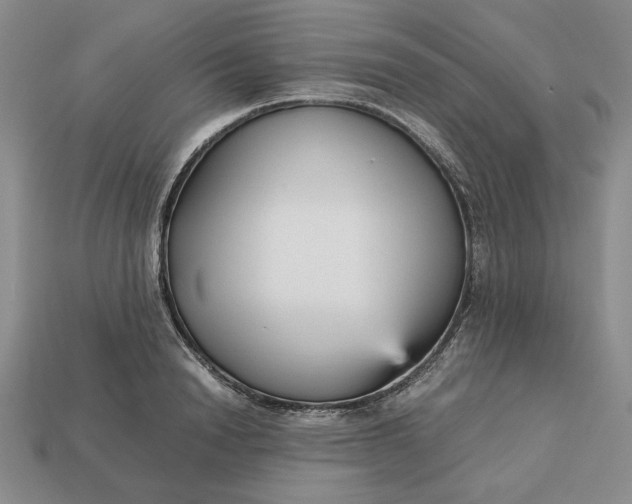 X0000113140846200909181728