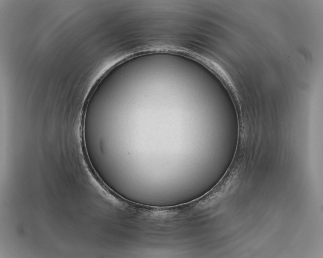 X0000113140847200909181728