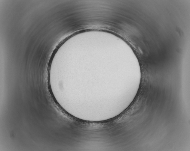 X0000113140848200909181728