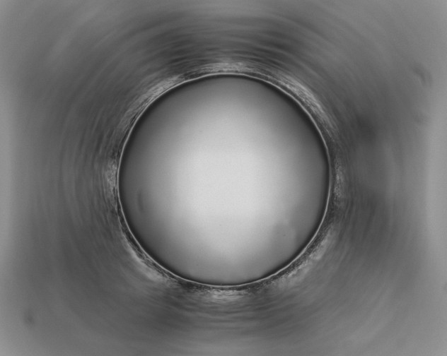 X0000113140849200909181728