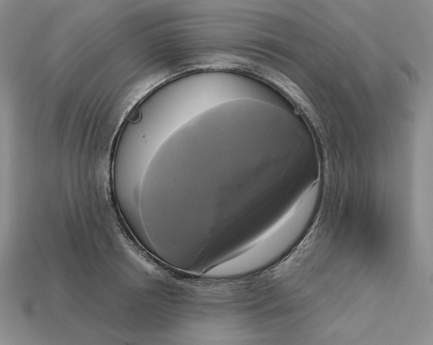 X0000113140850200909181728