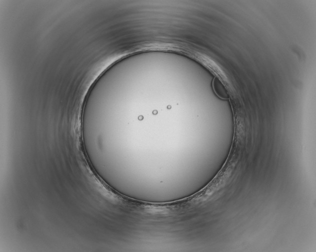 X0000113140852200909181728