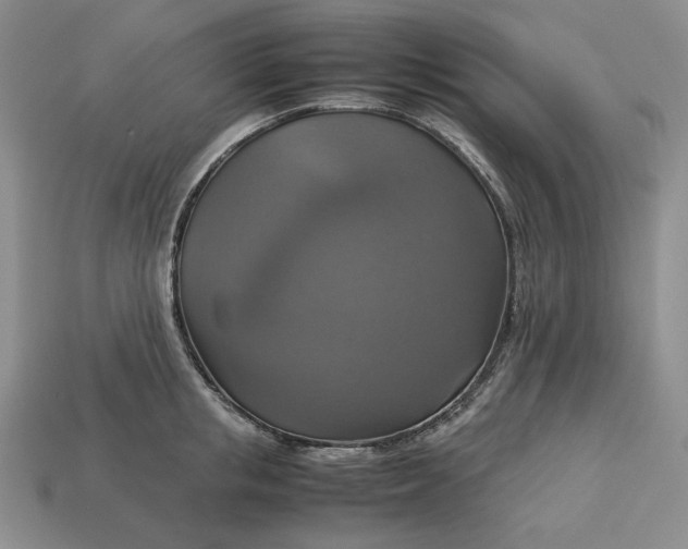 X0000113140853200909181728