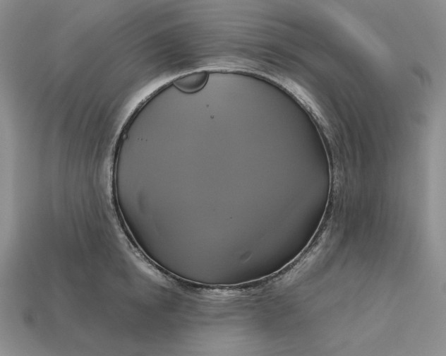 X0000113140854200909181728