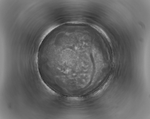 X0000113140855200909181728